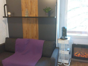 Appartement cosy au pied des pistes, centre station, 4 pers, skis aux pieds - FR-1-516-185